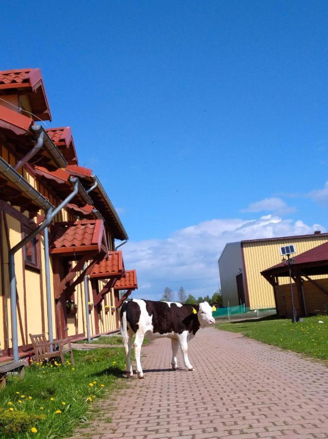 Pensjonat Przy Stajni Kierzkowo  Bagian luar foto