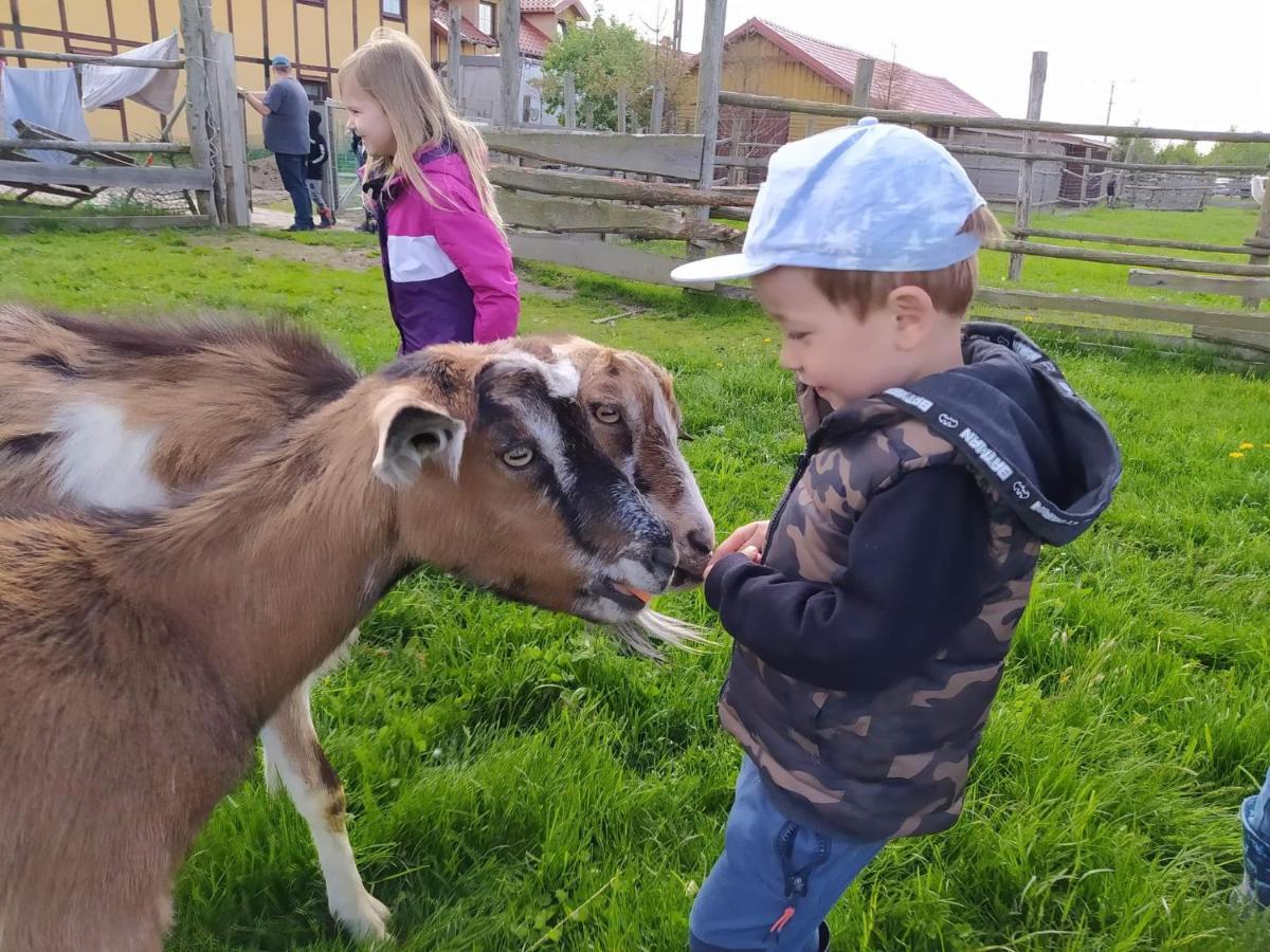 Pensjonat Przy Stajni Kierzkowo  Bagian luar foto