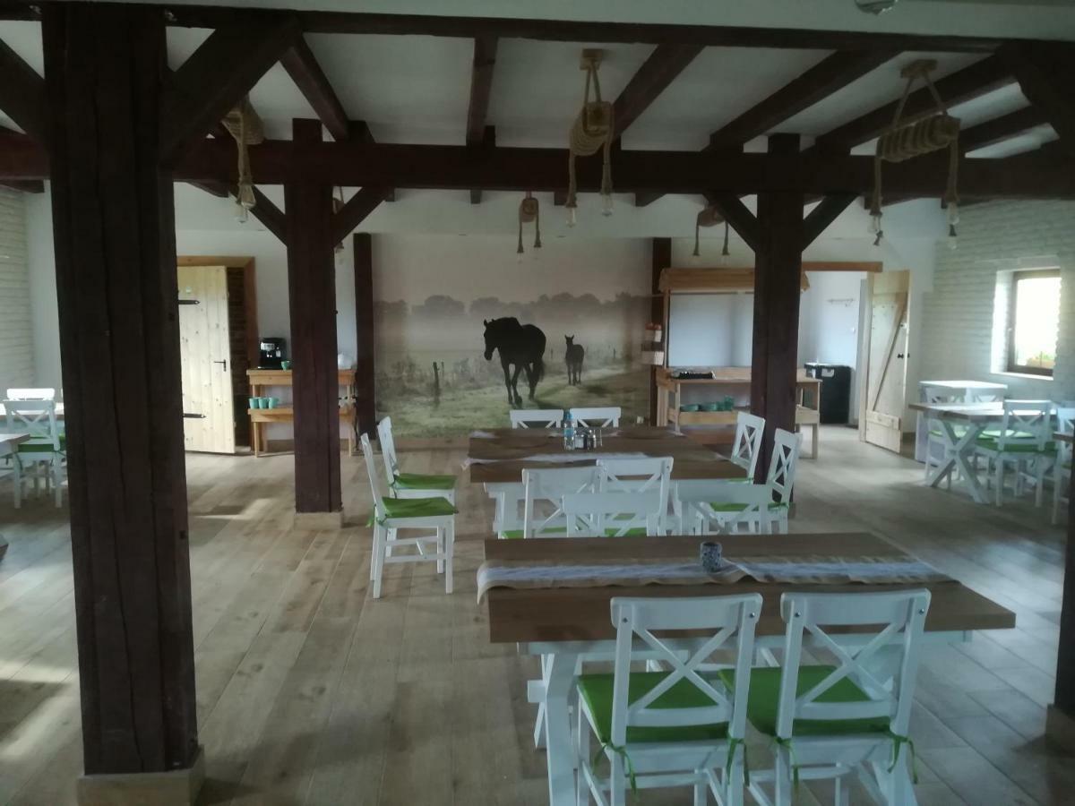 Pensjonat Przy Stajni Kierzkowo  Bagian luar foto