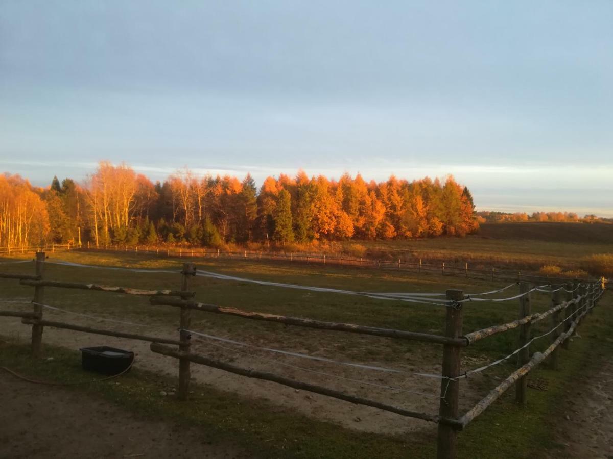 Pensjonat Przy Stajni Kierzkowo  Bagian luar foto