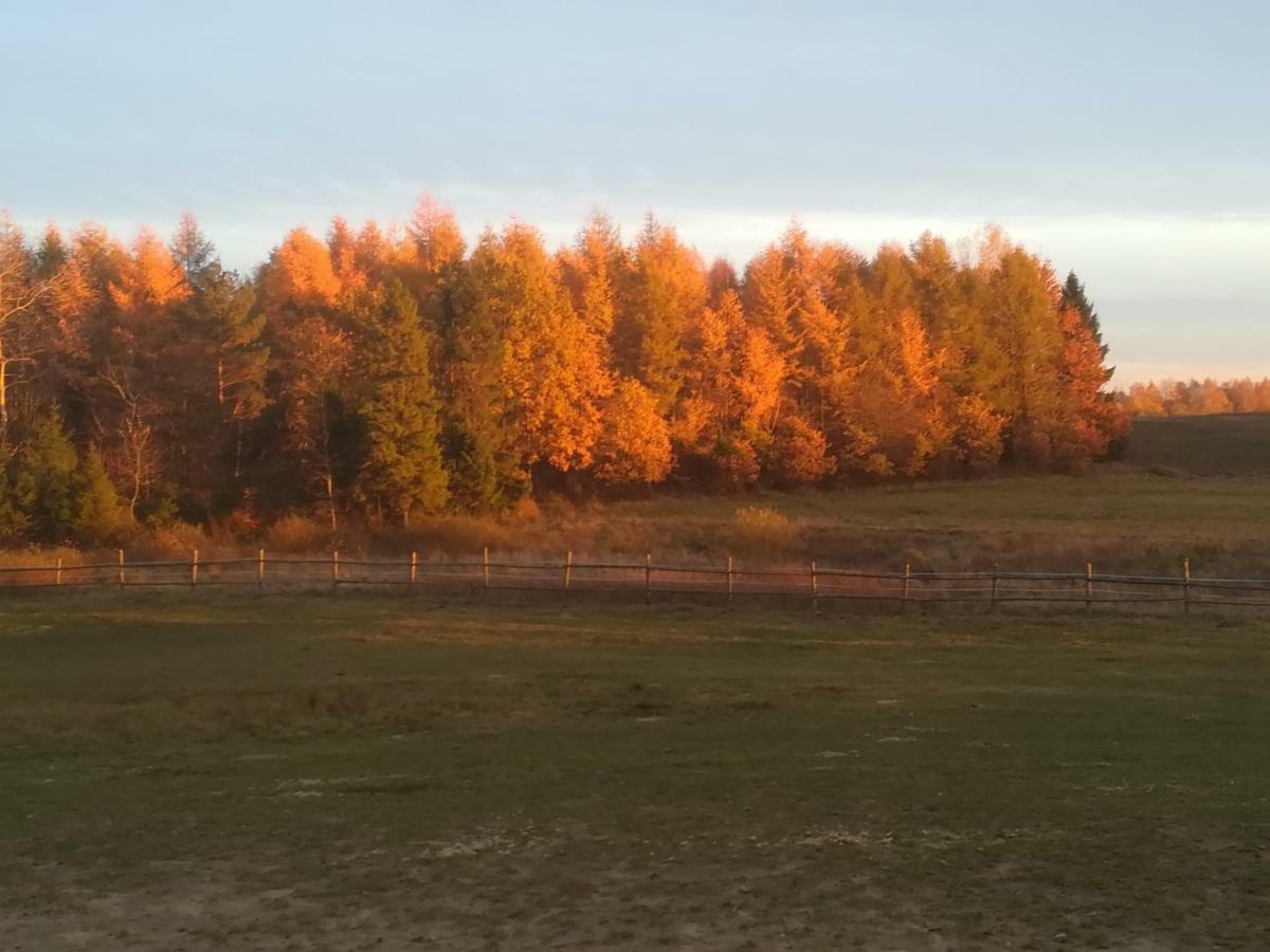 Pensjonat Przy Stajni Kierzkowo  Bagian luar foto
