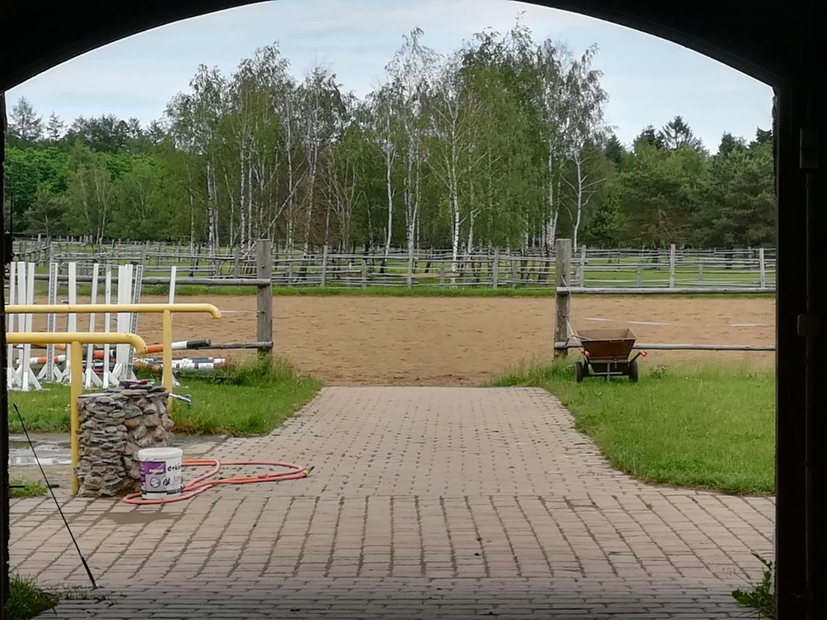 Pensjonat Przy Stajni Kierzkowo  Bagian luar foto